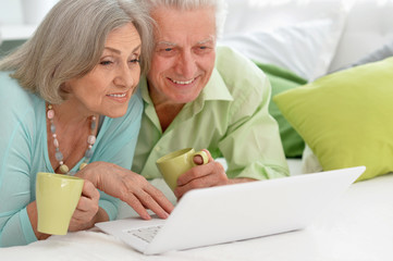 happy senior couple with laptop