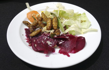 Beetroot Carpaccio with larvae silkworm