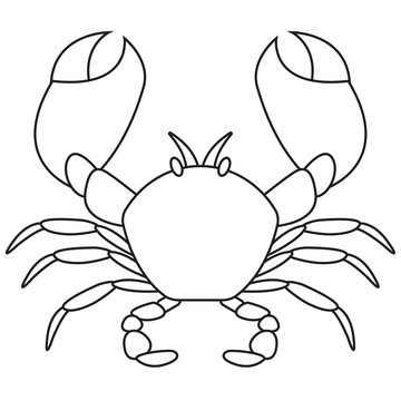 Crab outline icon isolated on white background. Vector illustration. 