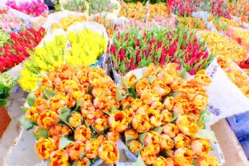 Watercolor paint effect. Bundles of  tulip flowers in bucket of cold water.