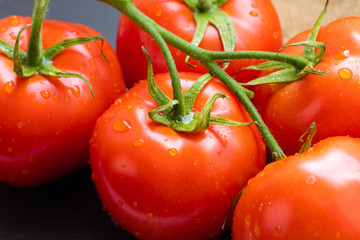 branch of organic tomatoes close-up