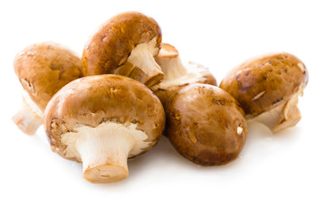 natural mushrooms champignons