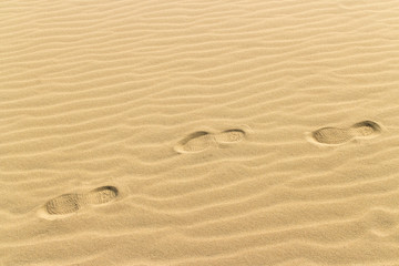 footprints on the yellow sand of the desert, sand dunes