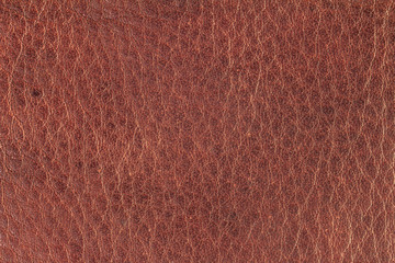 Fototapeta premium Red brown leather texture, Red brown leather bag, Red brown leather background for design with copy space for text or image.