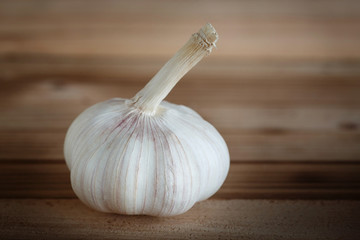 Garlic on wood background