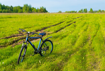 Fototapeta na wymiar the bicycle costs in a grass