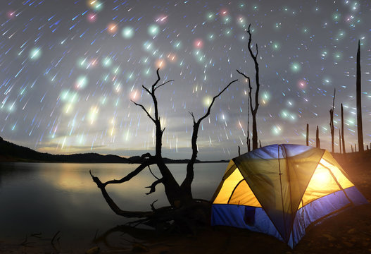 Silhouettes of death tree  night sky with many stars and yellow tent on foreground . Concepcion camping in nature.