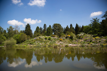 Fototapeta premium Alpen Garten