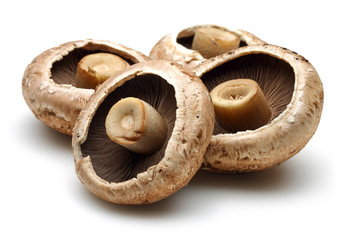 Champignon mushrooms 