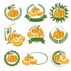 Pumpkin labels and elements set. Vector