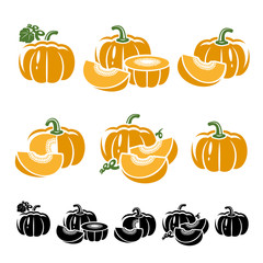 Pumpkin set. Vector