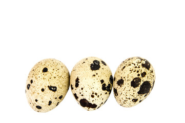 Common Quail eggs isolated on white background.