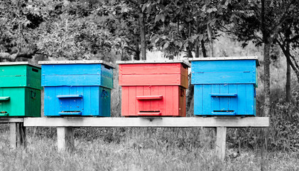 Four Colorful Beehives