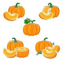 Pumpkin set. Vector