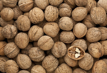 half a walnut on the background of whole nuts