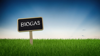 Single chalkboard sign with biogas text in grass - obrazy, fototapety, plakaty