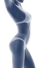 woman body illustration isolated on white background.