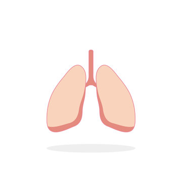 Lungs icon in flat style with shadow, white background