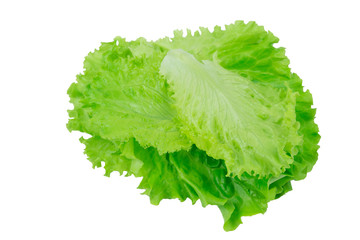 lettuce leaves on a white