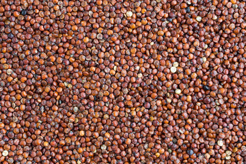 Very close view of red quinoa