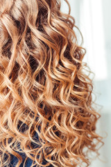 close-up of curly blond hair in barber beauty salon