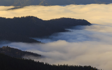 Mountain forest above clouds