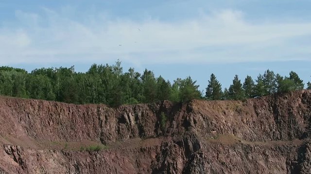 birds of accipitriformes family flying high above an open pit mine quarry. porphyry rocks. camera pan. renature of industrial areas.