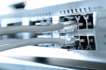 Ethernet cables connected to network switch, close up