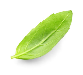 Fototapeta na wymiar Fresh basil leaf isolated on white