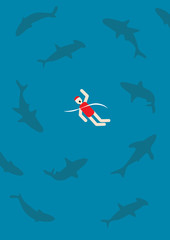 swimming with sharks