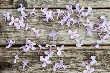 lilac flowers on old wooden surface top view background