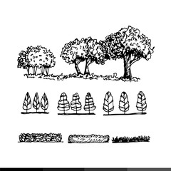 Hand Draw Tree Icon Illustration design