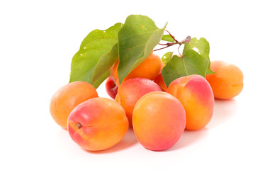 apricot isolated on white
