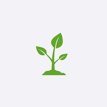 Sprout vector icon