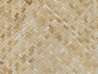 bamboo background