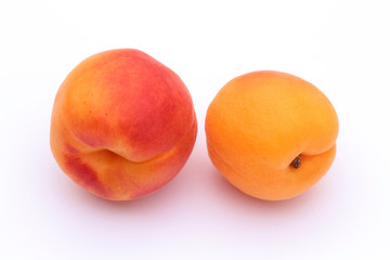 abricots 06062016