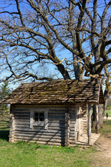 Old wooden house near the tree in spring