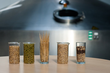 Ingredients for the production of beer: malt, yeast, hops, grain