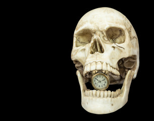 Obraz premium alarm clock in opening mouth human skull isolated on black background with copy space