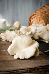 pleurotus black wooden table cutting board