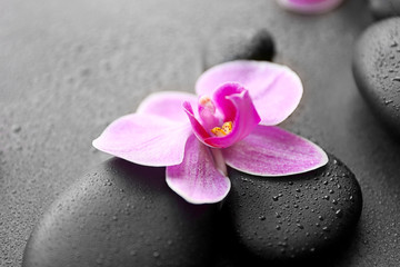 Obraz na płótnie Canvas Spa stones and orchids, closeup