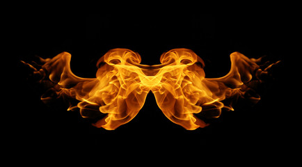 abstract fire flames resemble wing on black background