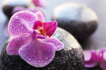 Fototapeta na wymiar Spa stones and orchids, closeup