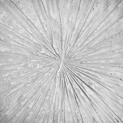 marks of leaf on gay concrete background