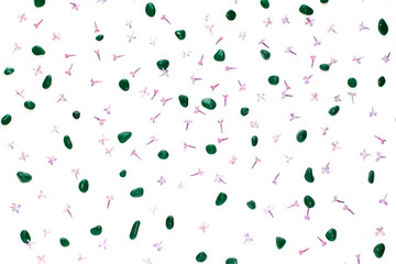 floral pattern of fresh lilac flowers