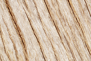 Closeup old and dried wood pattern at the table texture background