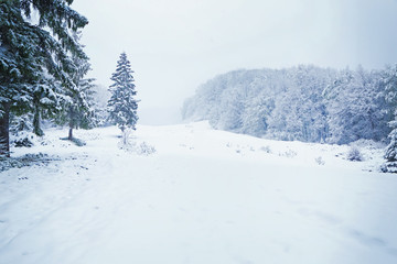 Beautiful winter landscape