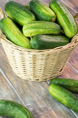 Farm organic cucumbers in basket.
