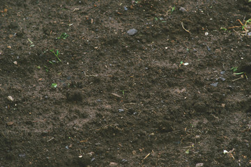 Background of black soil.