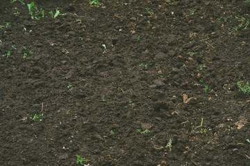Background of black soil.